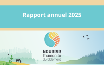 Informe anual 2025